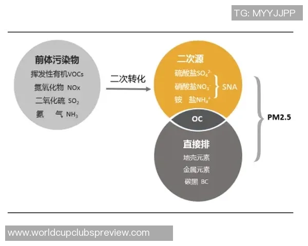 上海攀岩队技术表现数据分析与提升策略探讨 上海攀岩队技术表现数据分析与提升策略探讨